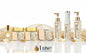 Debonair Mystique For Him | Luxury Fragrance Collection