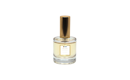 Allure of Desire For Him | Luxury Fragrance Collection