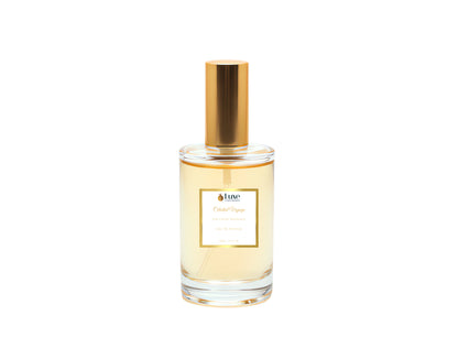 Celestial Voyage For Him | Luxury Fragrance Collection