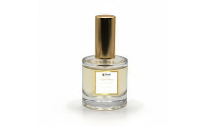 Elegant Pathway For Her | Luxury Fragrance Collection