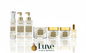 Elite Prestige For Him | Luxury Fragrance Collection