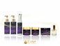 Celestial Voyage For Him | Luxury Fragrance Collection