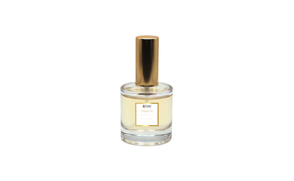 Midnight Noir For Him | Luxury Fragrance Collection