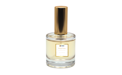 Midnight Obsidian For Him | Luxury Fragrance Collection