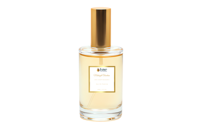 Midnight Obsidian For Him | Luxury Fragrance Collection