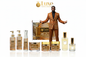Cascade Mountain — 8-Piece Lineup, Black Male Model Amber Brown Gold Suit Centered Arms Open